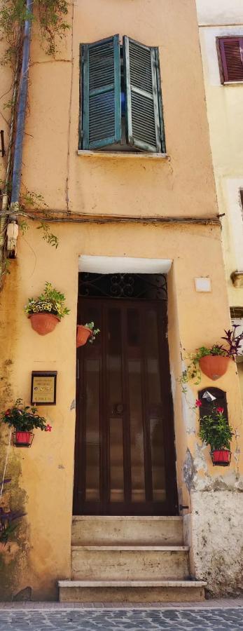 Affitto Turistico - La Terrazzina Monterotondo (Lazio) Exterior foto